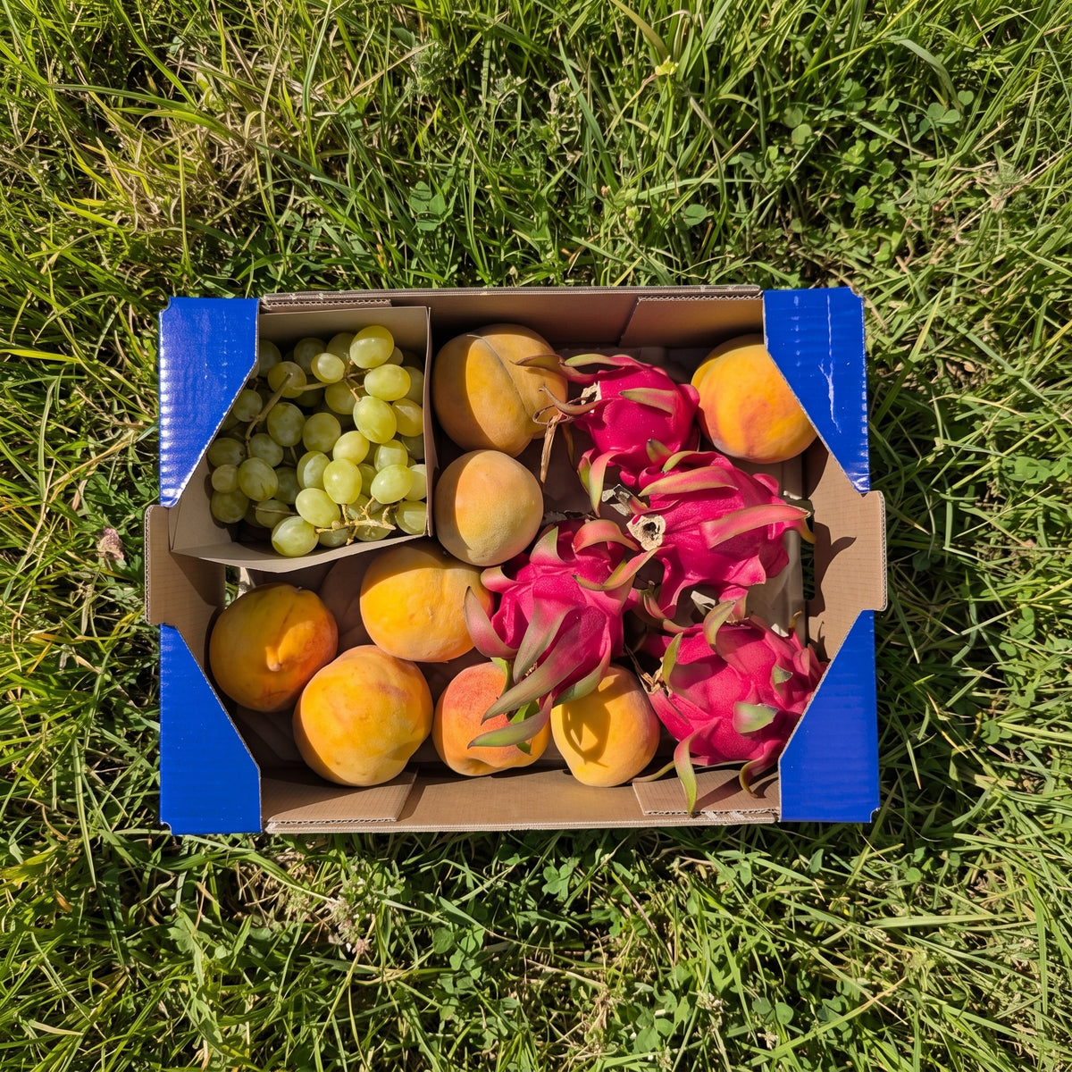 0.5kg Uva Doña María + 1.2kg Pitaya Ecológica + 1.8kg Melocotón Amarillo