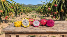 Pitaya de Nuestros Agricultores