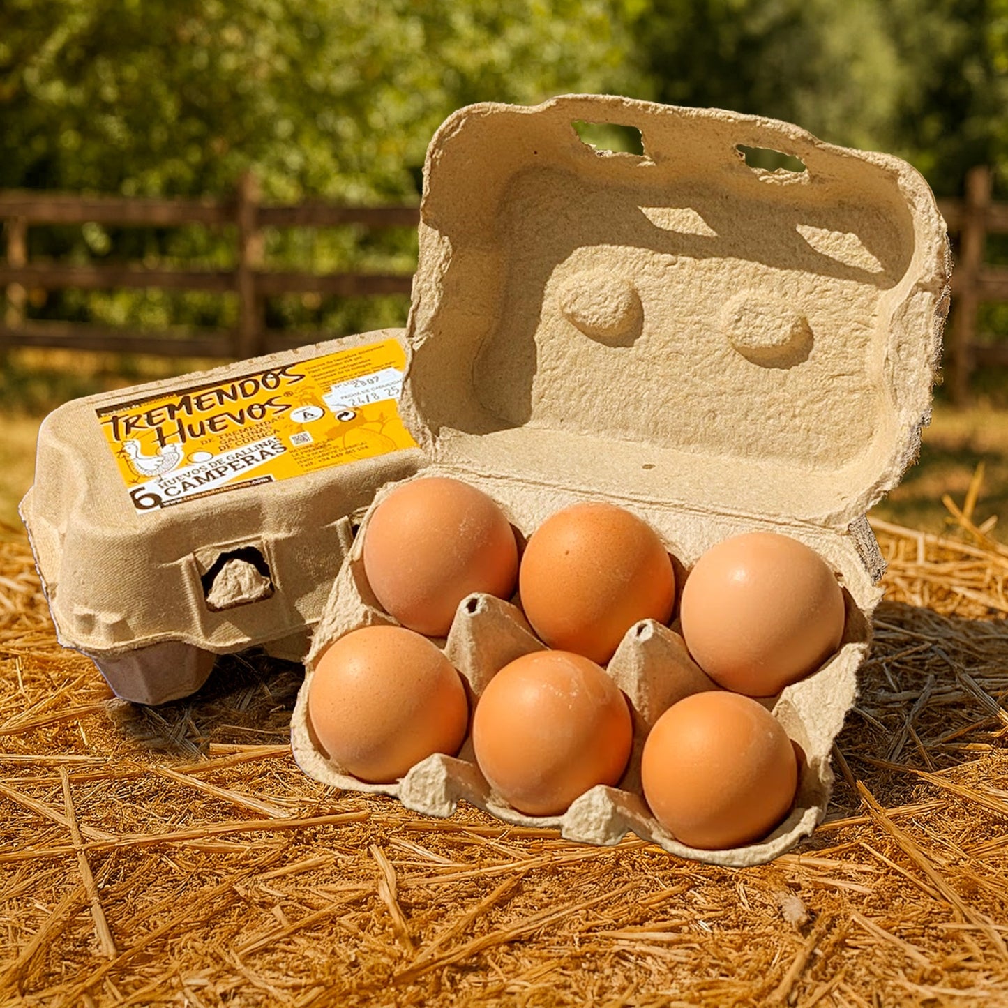 Huevos Camperos