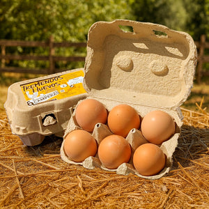 Huevos Camperos
