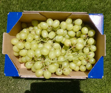 Uva de Nuestros Agricultores