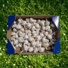 Ajo Ecológico - 3kg
