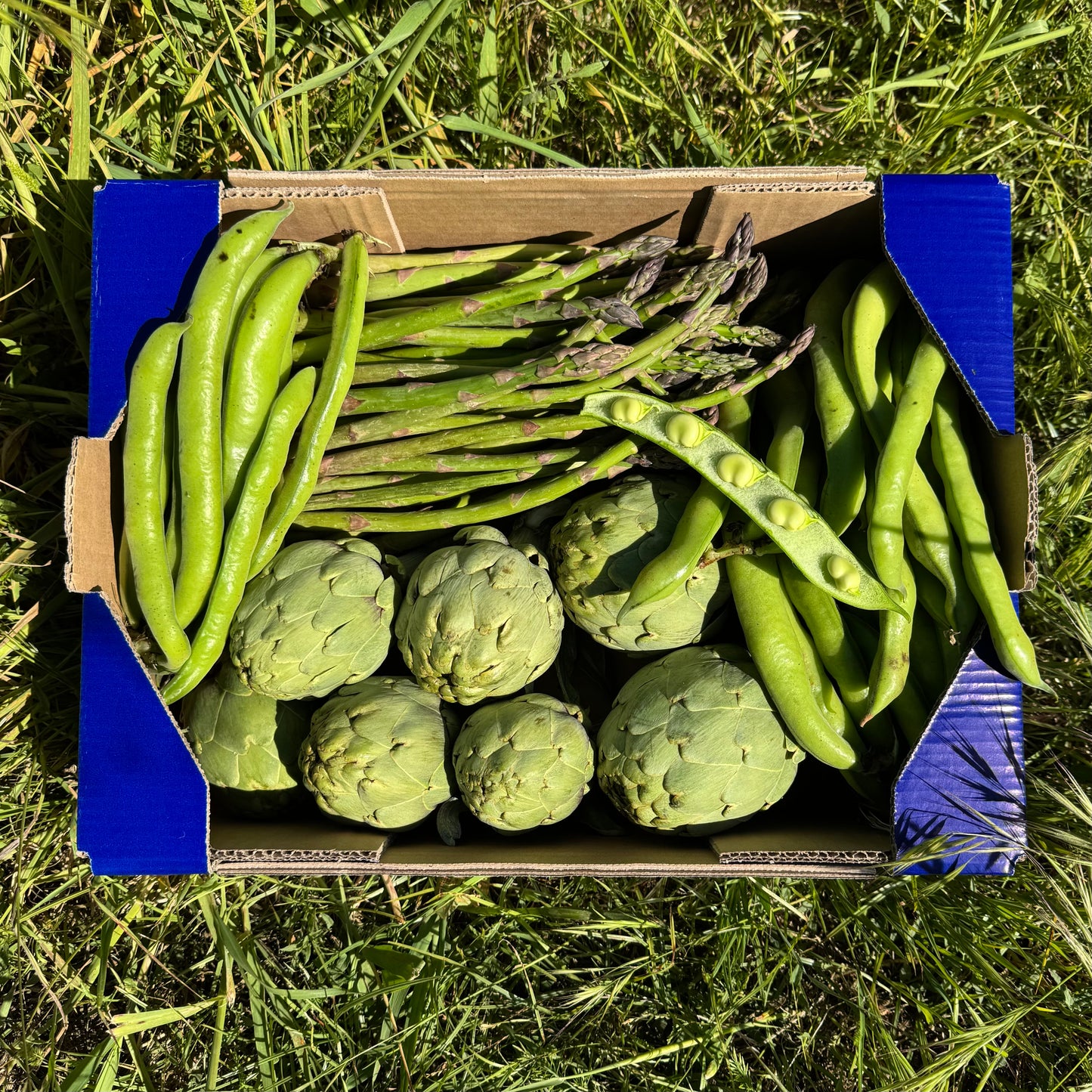1kg Espárragos + 1kg Habas + 1kg Alcachofa