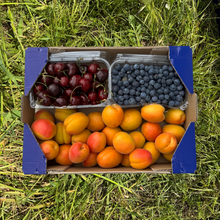 0.50kg Arándano + 0.50kg Cereza + 2kg Albaricoque
