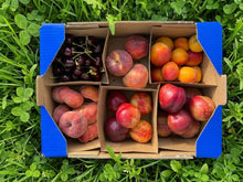 0.5kg Cerezas + 0.5kg Albaricoque + 1kg Nectarina + 0.8kg Paraguayo + 0.65kg Melocotón Rojo