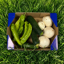1.3kg Berenjena Blanca + 1.3kg Calabacín + 0.7kg Pimiento Italiano