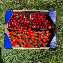 1.7kg Tomate Cherry + 1.7kg Cereza