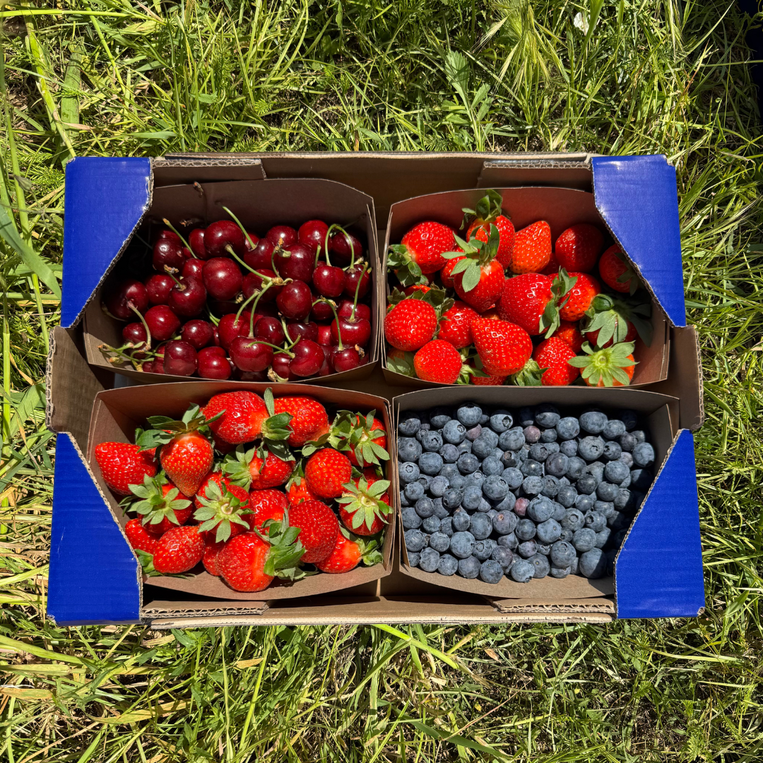 1.5kg Fresas + 0.750kg Cereza + 0.750kg Arándanos