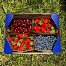 1.5kg Fresas + 0.750kg Cereza + 0.750kg Arándanos