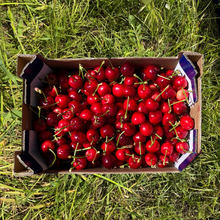 Cerezas - 2.5kg