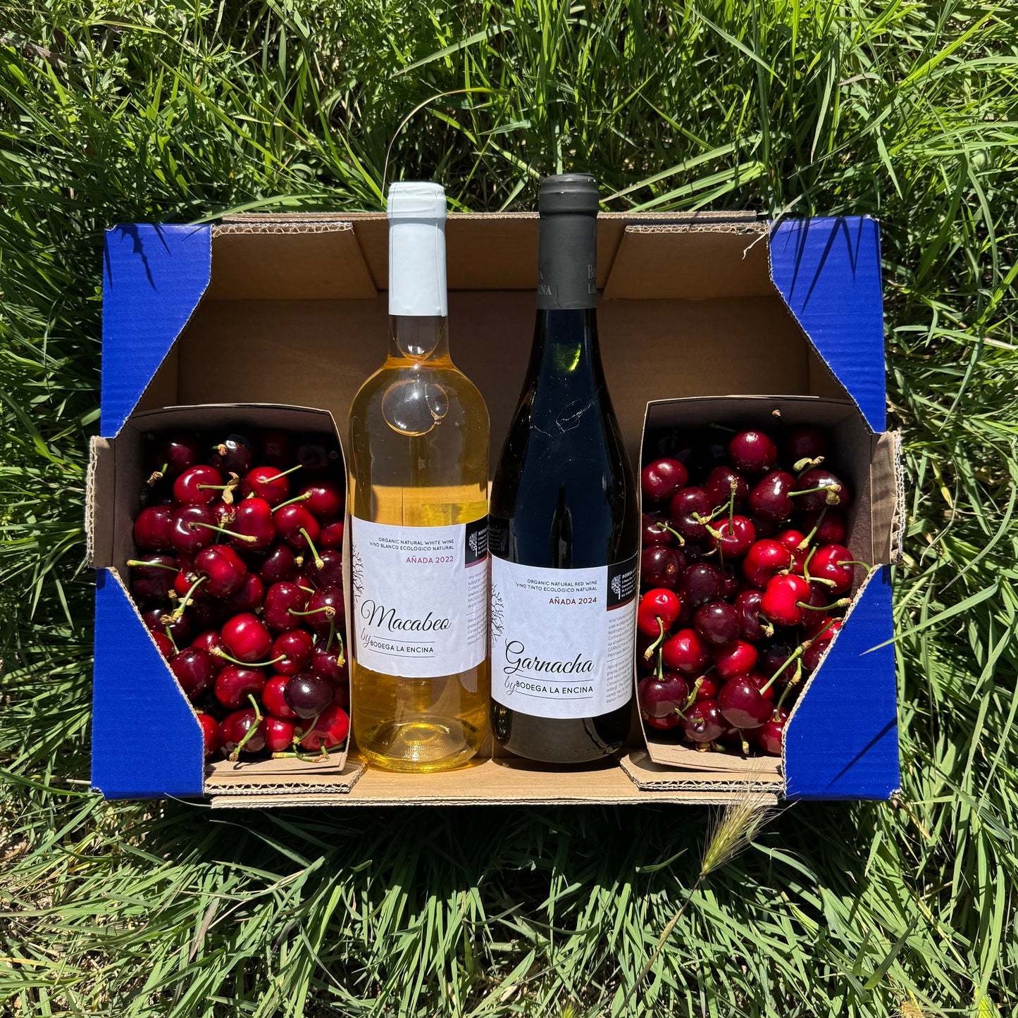 1,7 kg Kirschen + 1 Flasche Rotwein + 1 Flasche Weißwein