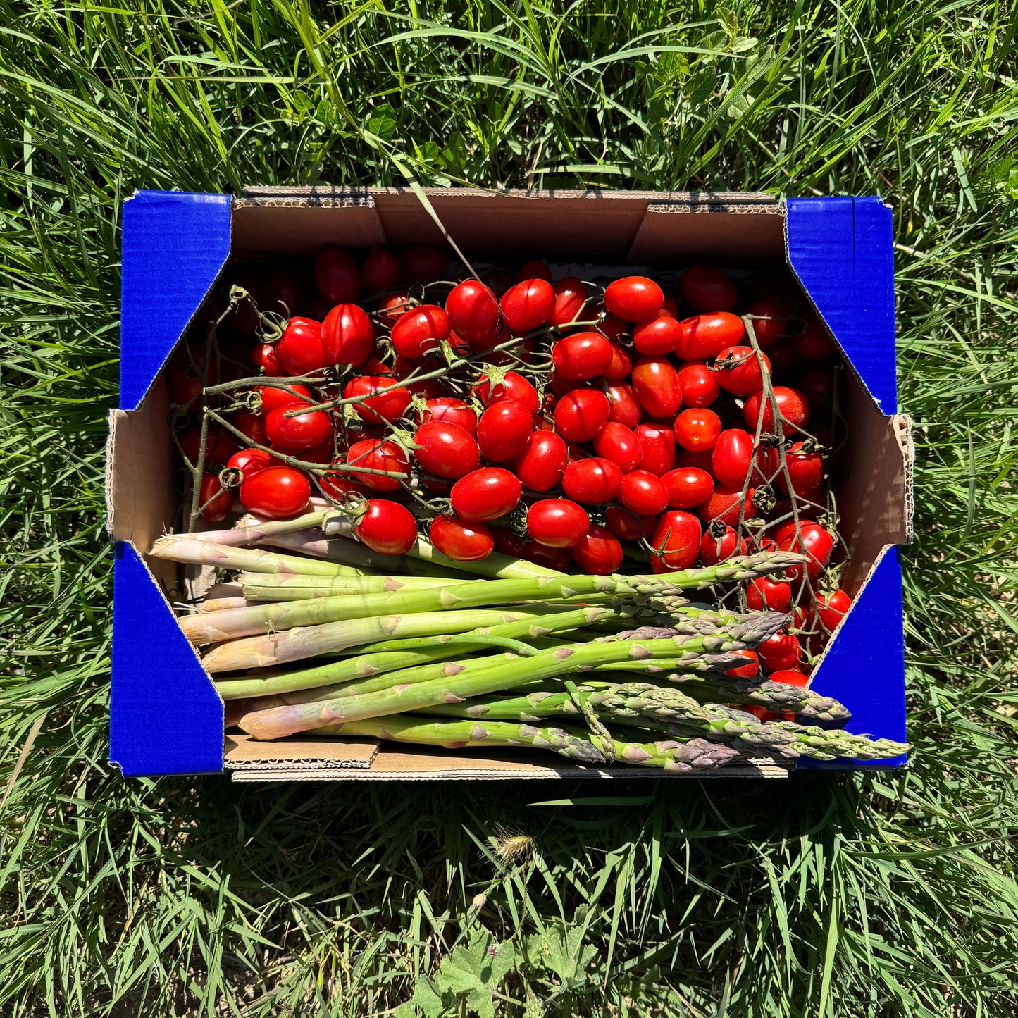 2kg Tomate Cherry + 1kg Espárragos