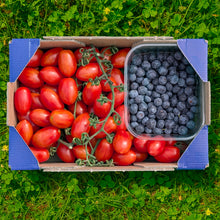 1.5kg Cherry + 0.5kg Arándanos
