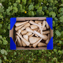 Pastinaken von unseren Bauern