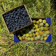2kg Ciruela Claudia + 0.5kg Arándanos