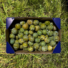 Ciruela Claudia - 2.7kg