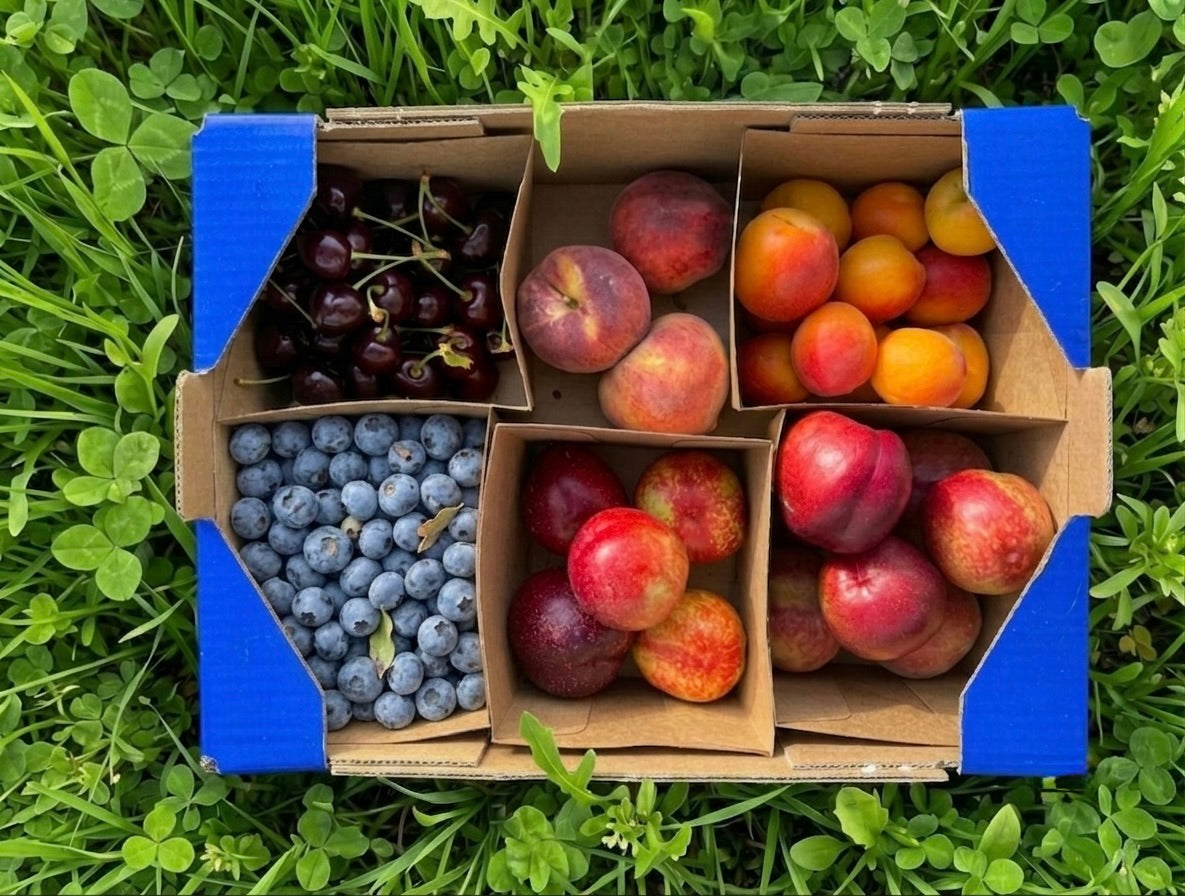 0.7kg Cerezas + 0.7kg Albaricoque + 0.5kg Nectarina + 0.5kg Arándano + 0.8kg Melocotón Amarillo