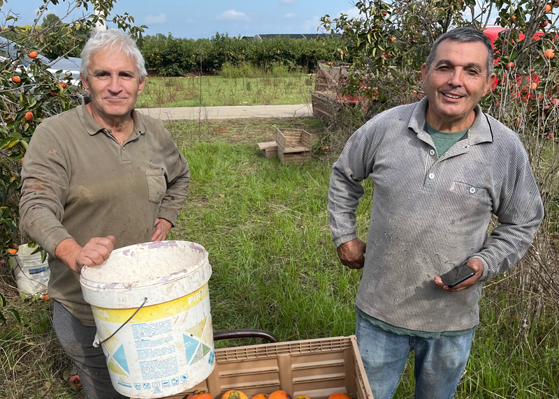 Eliseo y Salvador