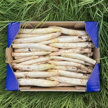 Espárrago Blanco Ecológico - 3kg