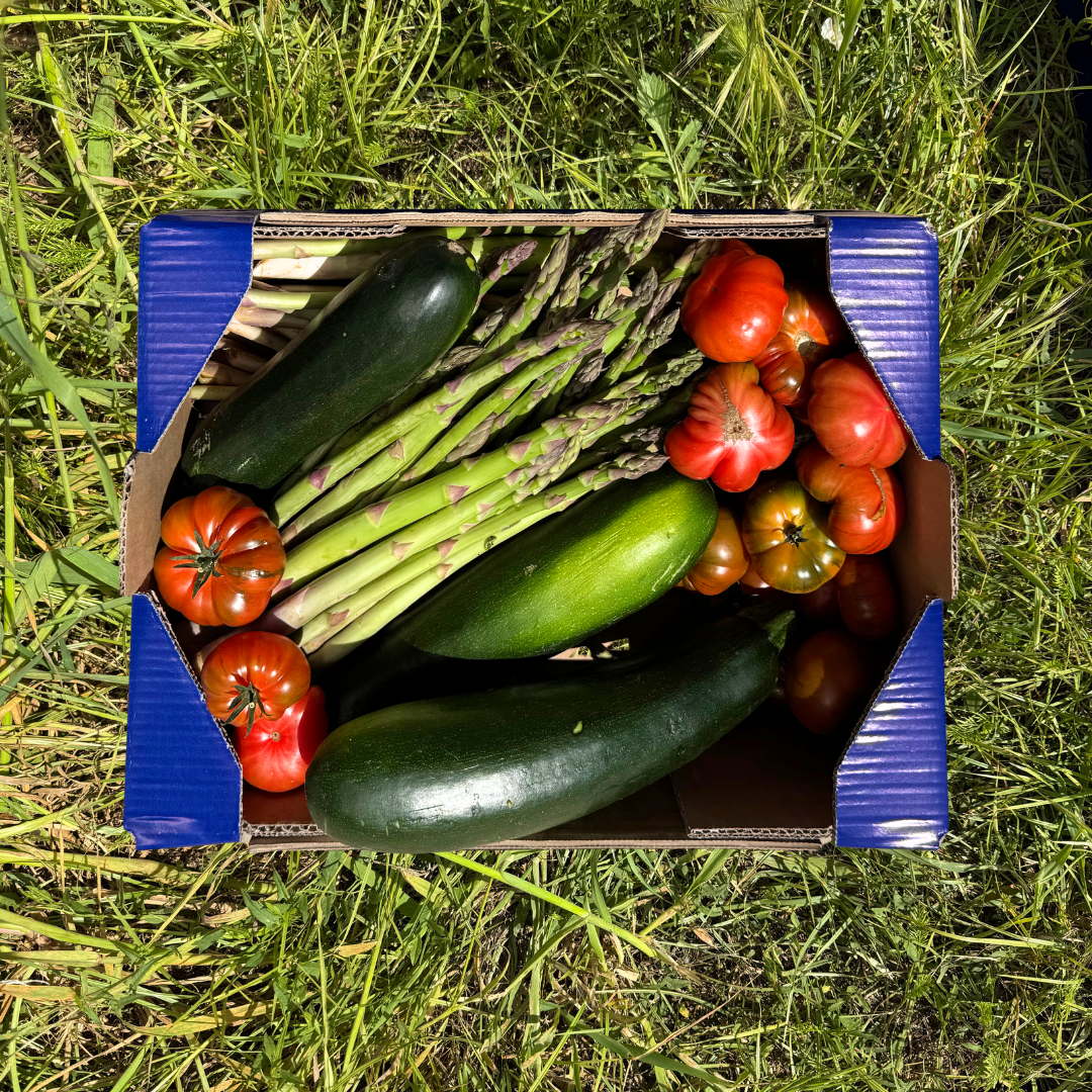1.25kg Calabacín + 1kg Espárragos + 1kg Tomate RAF