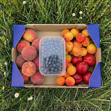 0.6kg Melocotón Rojo + 0.5kg Arándanos + 1kg Albaricoque + 1kg Nectarina