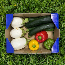 1.3kg Berenjena Blanca + 1.3kg Calabacín + 0.7kg Pimiento Tricolor