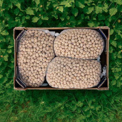 Garbanzo Lechoso - 3kg
