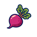 Remolacha