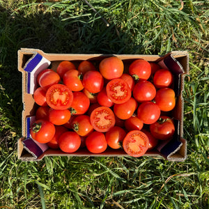 ["Tomate de Colgar"]
