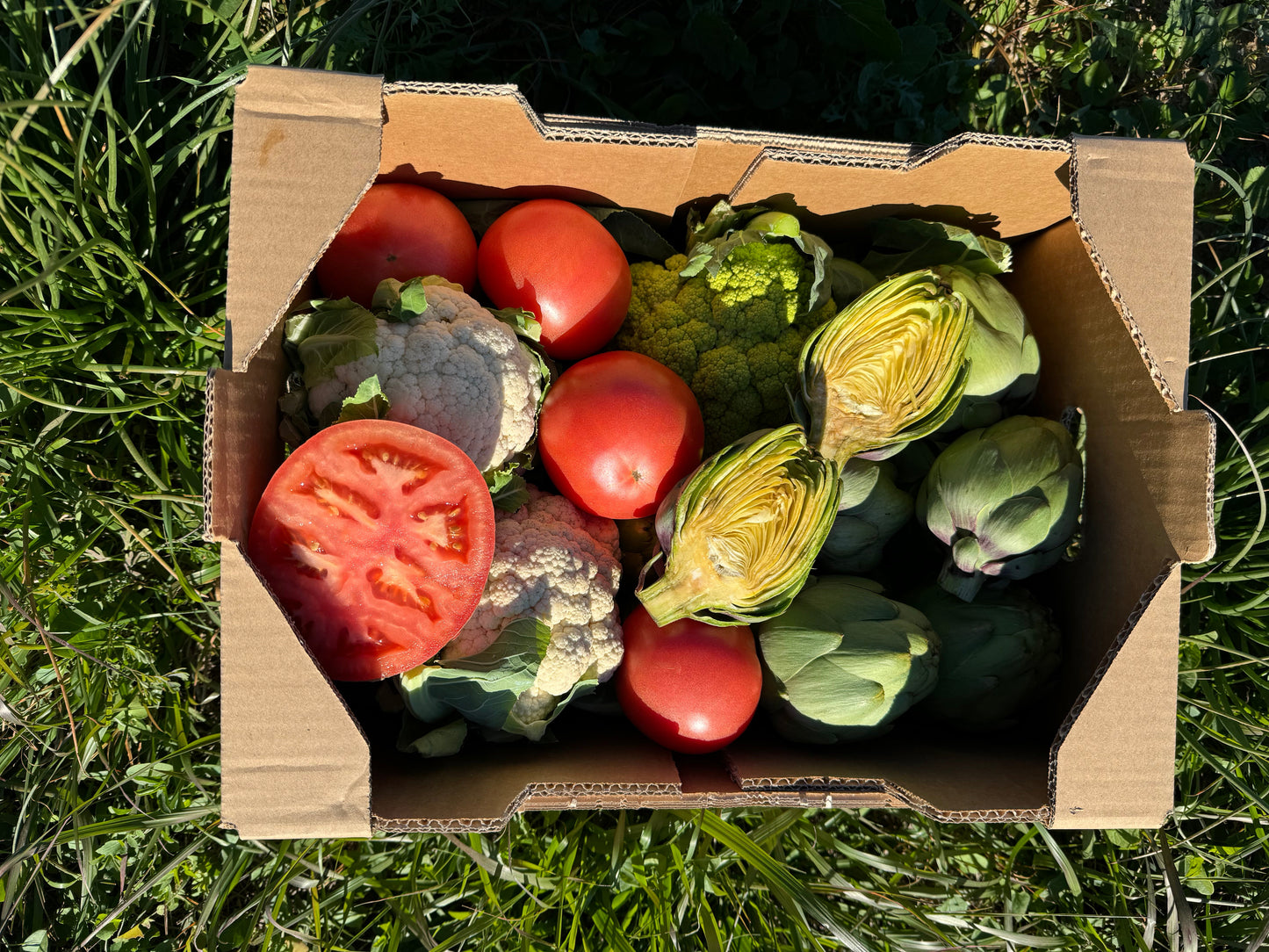 Caja de 2kg de Alcachofa, 2kg de Coliflor y 1,5kg de Tomate de Francisco Taus