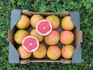 Pomelo