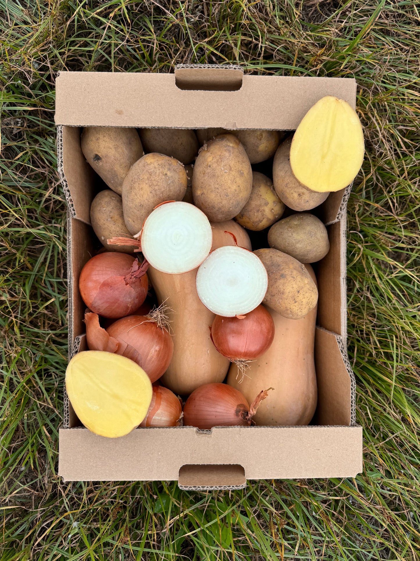 Caja variada de 3,25kg aprox de Calabaza, 2,75kg aprox de Patata y 2kg aprox de Cebolla de nuestros agricultores