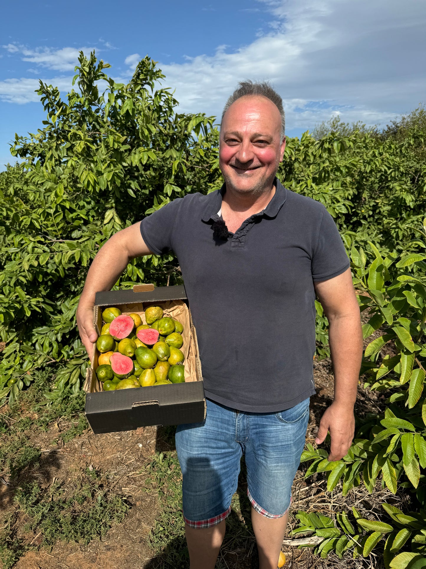 Box of approximately 3kg of Guava from our farmer Pepe