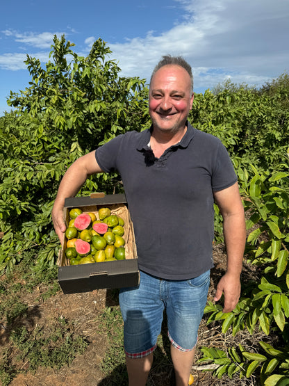 Kiste mit ca. 3 kg Guave von unserem Landwirt Pepe