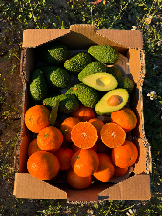 Mandarina y Aguacate de Nuestros Agricultores