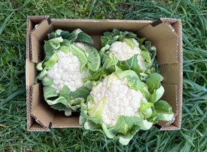 Coliflor