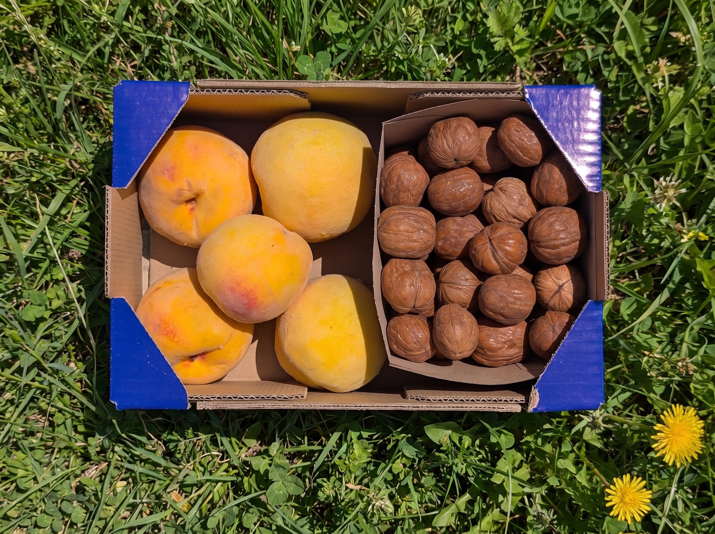 1kg Melocotón Amarillo + 0.5kg Nueces