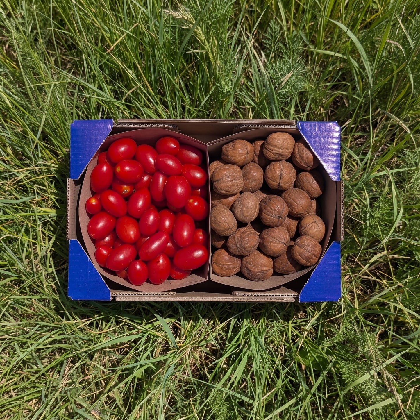 1kg Tomate Cherry + 0.5kg Nueces