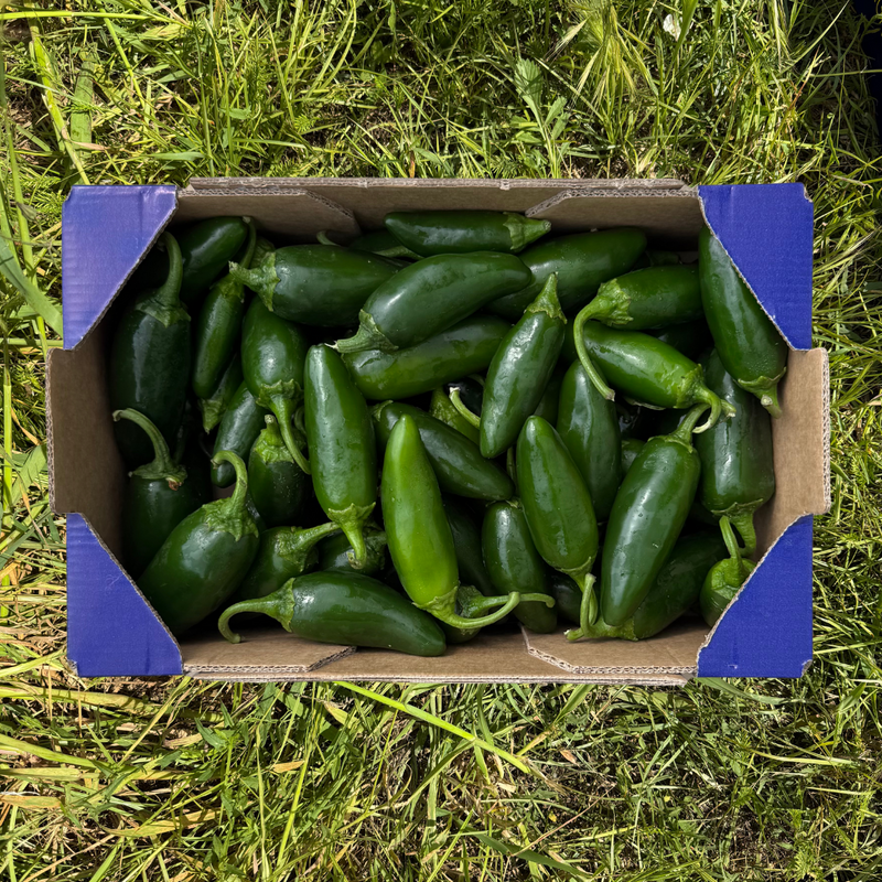 Jalapeños