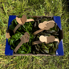 Lechuga Viva - 4 piezas