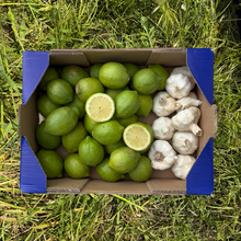 3.5kg Limón + 0.5kg Ajo Ecológicos