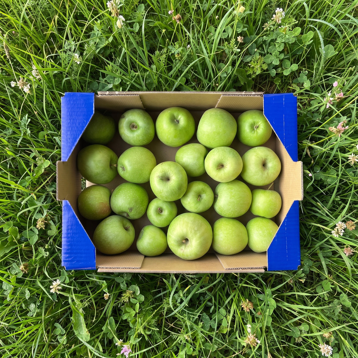 Manzana de Nuestros Agricultores
