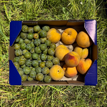 2kg Ciruela Claudia + 2kg Melocotón Amarillo