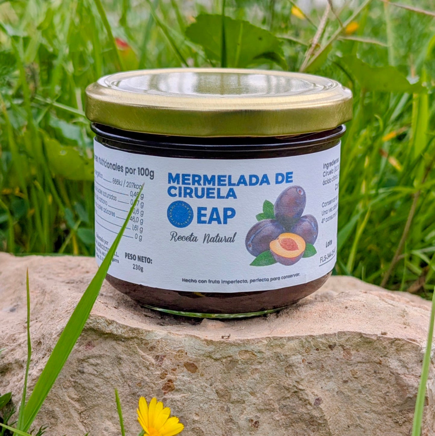 Mermelada de Ciruela - 6 tarros