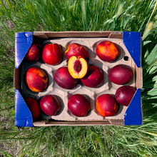 Nectarina - 2.5kg