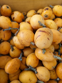 Níspero Orgánico - 4kg