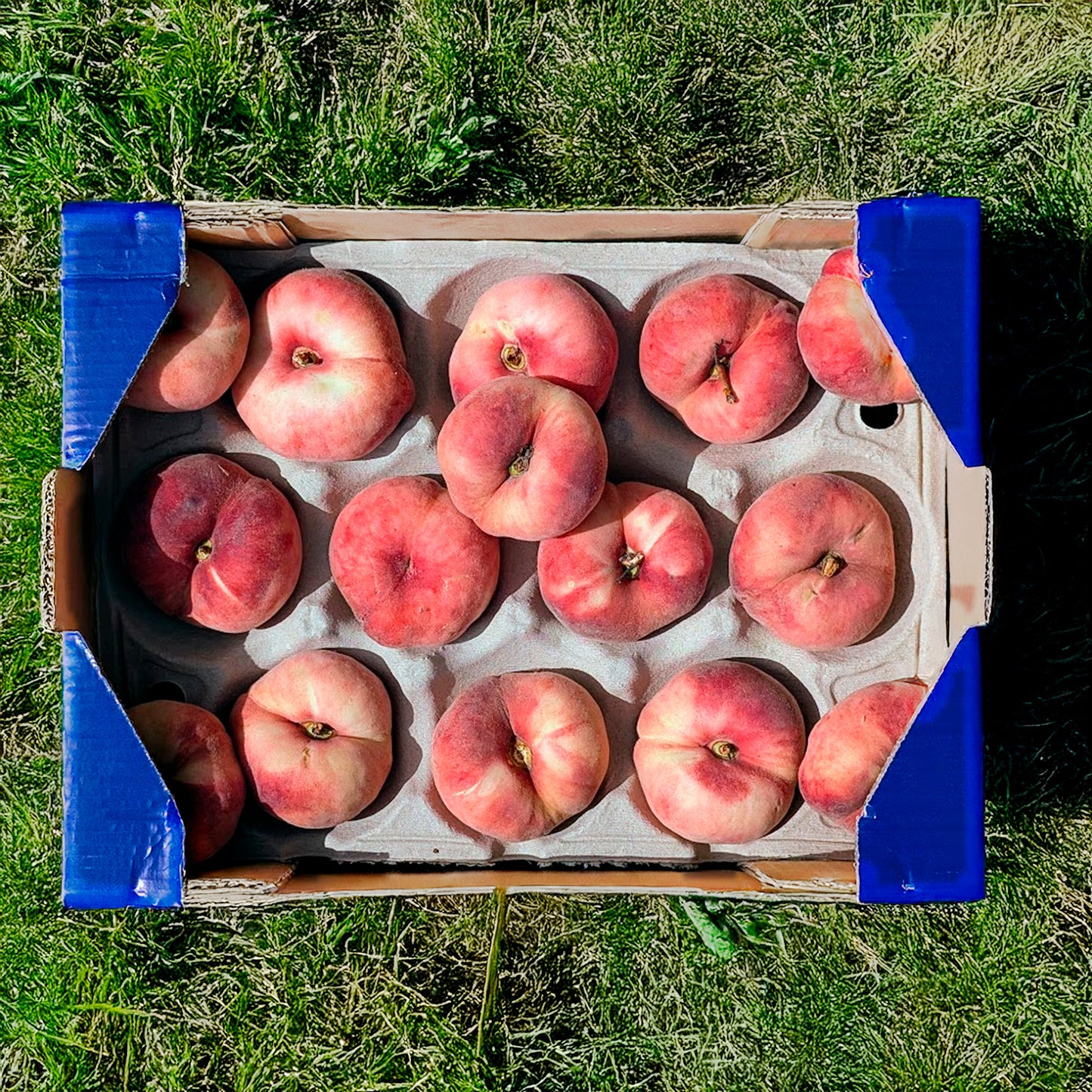 Paraguayisch - 2kg