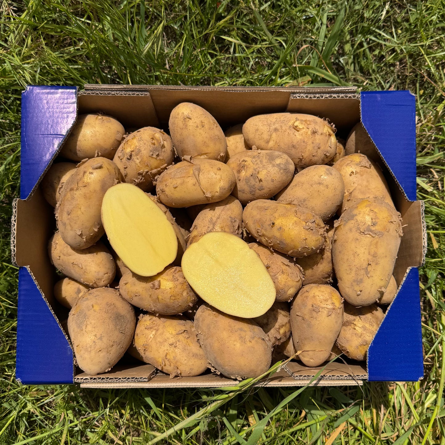 Patatas de Nuestros Agricultores
