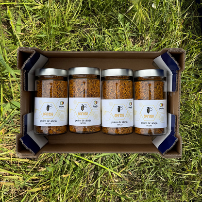 Bienenpollen - 4 Dosen
