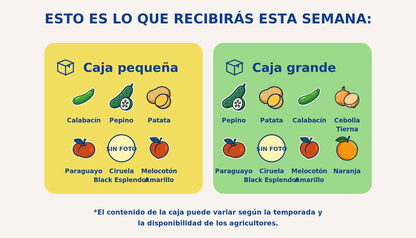 Caja grande de mixta - semana 2026-06-12T17:24:40.130587+02:00